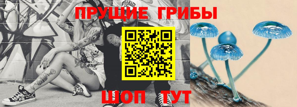 Бор  Псилоцибиновые грибы мицелий  Псилоцибиновые грибы мухоморы  Вход с VPN 